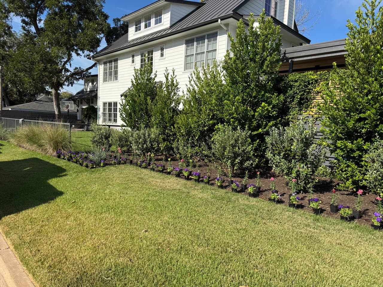 Property & Pest Management in Westlake Hills