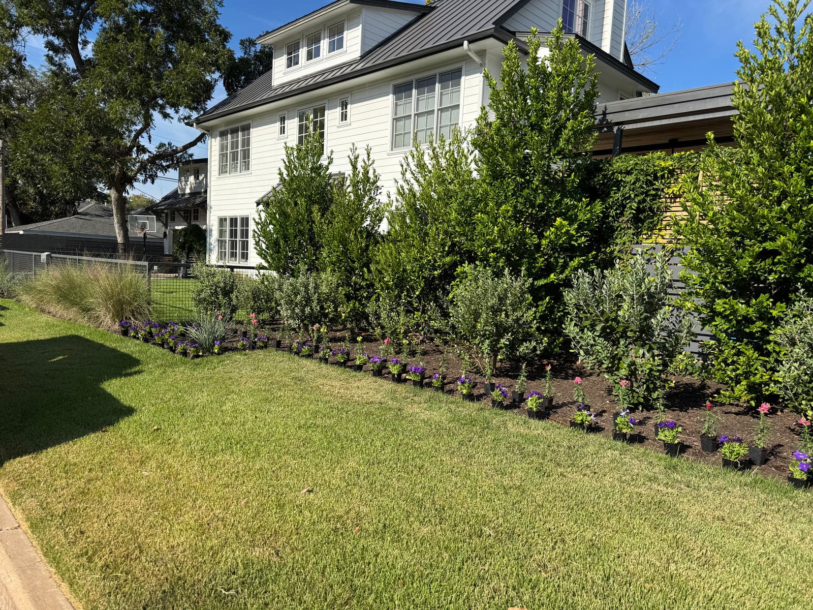 Property & Pest Management by Outdoor Renovations