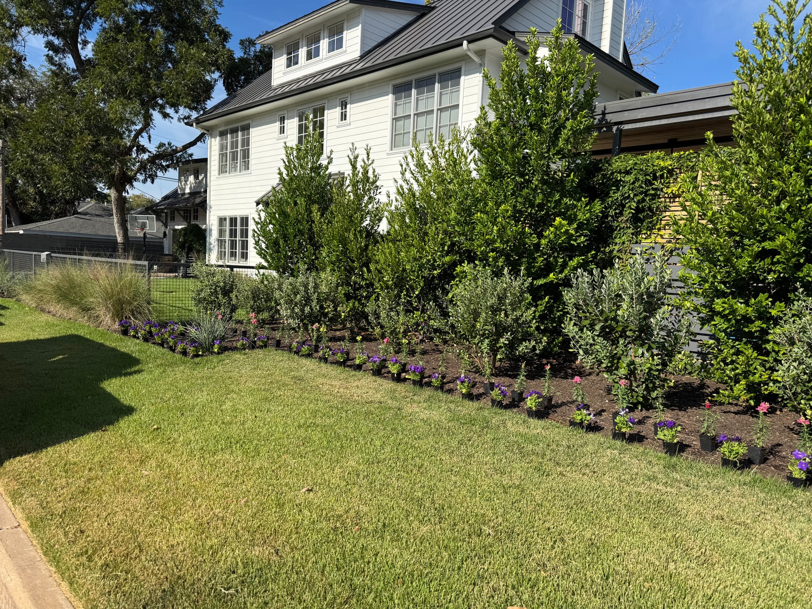 Property & Pest Management project in Circle C Ranch, Texas