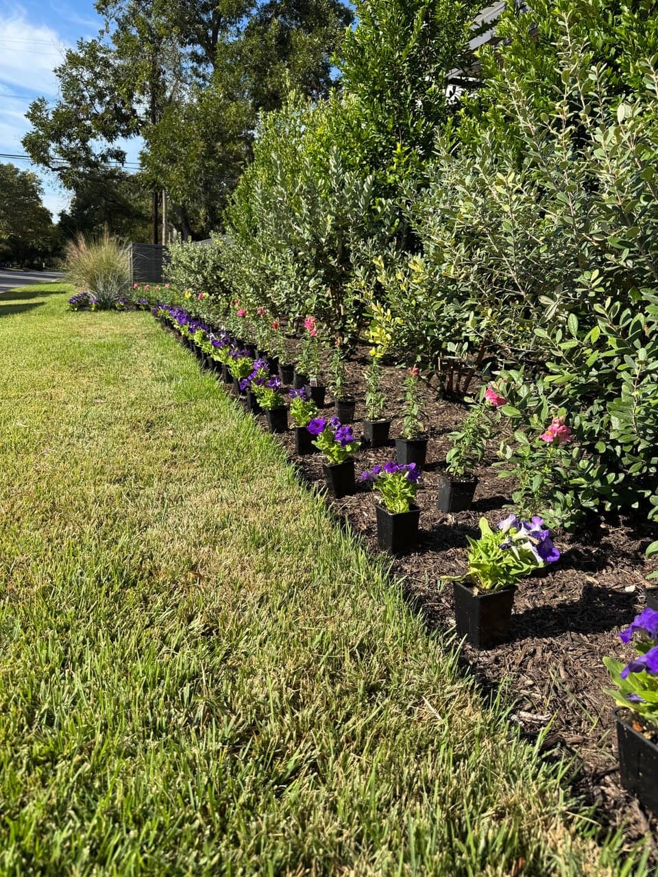 Property & Pest Management project in Bee Cave