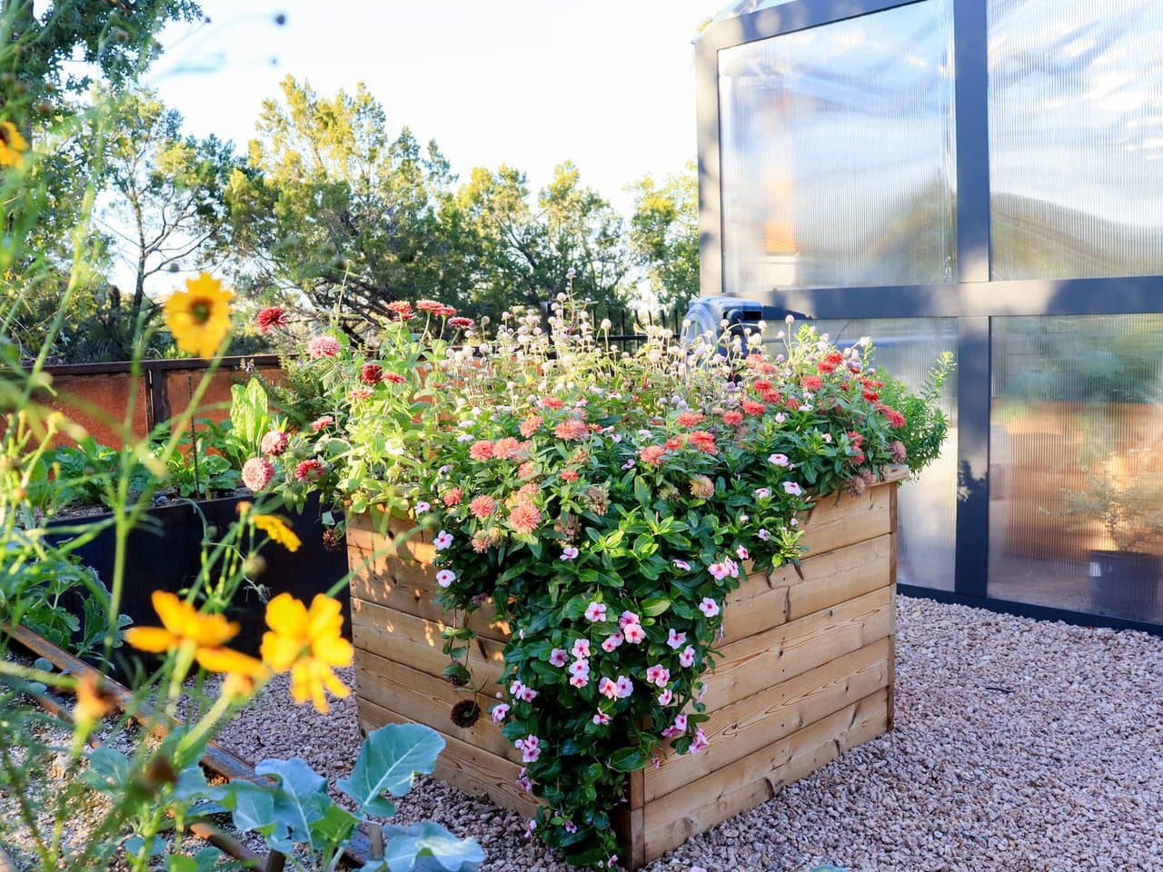 Softscaping & Planting by Outdoor Renovations
