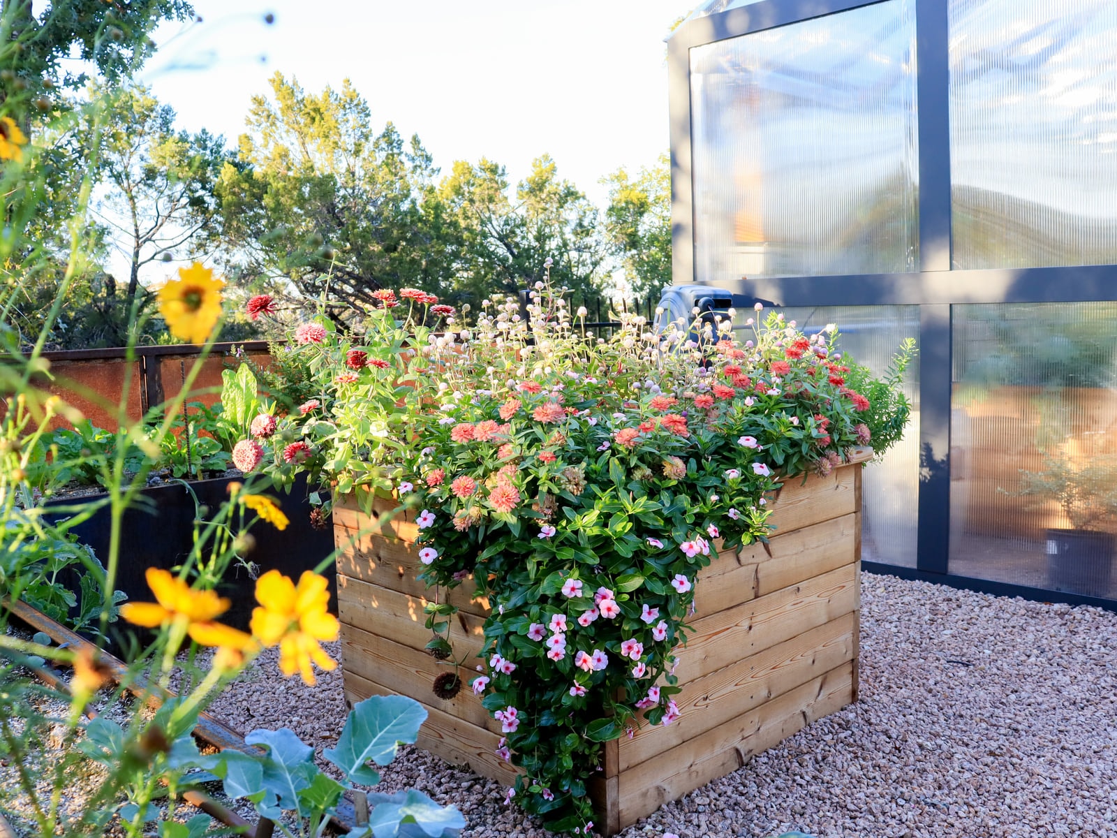 Softscaping & Planting project in Bee Cave, Texas